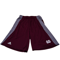 Adidas Climacool Grey sided with dots Shorts