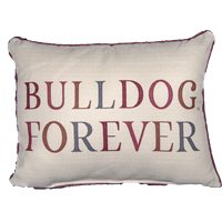 Bulldog Forever Multicolor Pillow