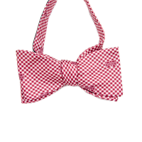 Rivety of Boston Self Tie  Banner M Over Gingham Bow Tie