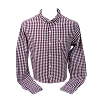 Paxton Woven Gingham Banner M Long Sleeve Button-Down