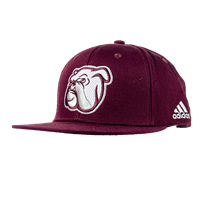 2020 Adidas Snapback Flat Bill Bully Face Cap
