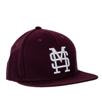 mississippi state adidas baseball hat