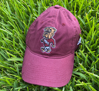 Adidas Walking Bully Cap