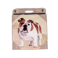 Bulldog Home Coasters