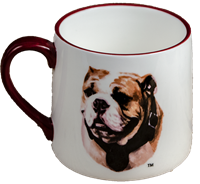 Hail State & Bulldog Face Ceramic 16oz Mug
