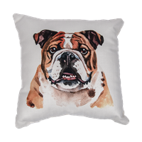 Bulldog Pillow