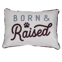 Born and Raised Pillow