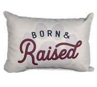 Born & Raised Pillow