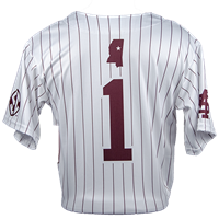 Pinstripe Baseball Jersey #1 on Back