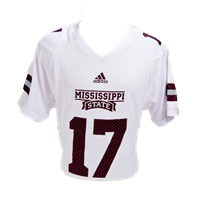 Adidas 2017 Season Replica #17 Football Jersey