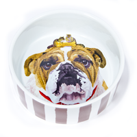 Reggie Bulldog Face Striped Dog Bowl