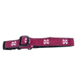 Dogs Banner M Dog Collar