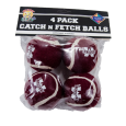 Tennis Balls 4 Pack