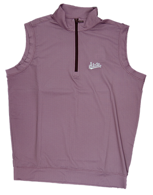 State Script Bird's Eye Pullover Vest