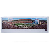 Davis-Wade Stadium Pano 2015 Print