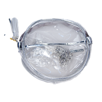 Round Canteen Clear Silver Trim Crossbody