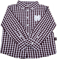 Garb Toddler M over S Gingham Long Sleeve Button-Down