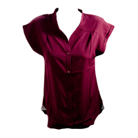 Ug Sheer Pleated Top With Collar