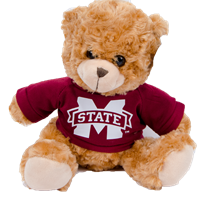 Teddy Bear Wearing a Banner M Tee