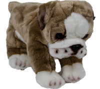 Bulldog Standing Plush Toy