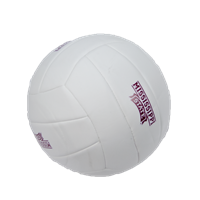 Mississippi State Volleyball