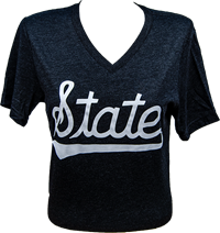 Bella+Canvas State Script V-Neck Short Sleeve Tee