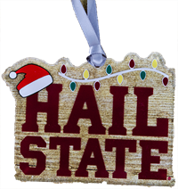 Color Shock Hail State with Santa Hat Ornament