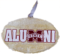 Color Shock Alumni Banner M Ornament