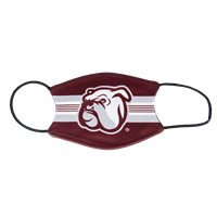 3 ply Bully Face with Stripes Youth Face Mask