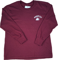 Image One Youth Mississippi State University Arch with Football Helmet Long Sleeve Tee