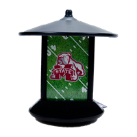 MSU Bird Feeder