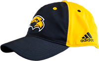 2022 Adidas Coach Flex Golden Eagle Head Stretch Baseball Cap