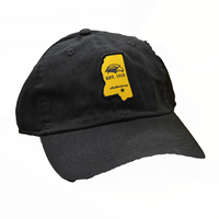 Ahead Vintage MS Cap