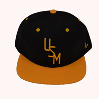 Zephyr Graf-x Z11 32/5 Gold Bill Baseball Cap