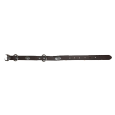 Brown Dog Collar