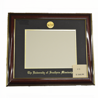 Laminated Visuals Chamberlain University Diploma Frame Mahogany Gold Trim Embossed Logo