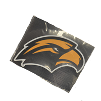 CDI Golden Eagle Head Magnet