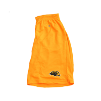 Champion Mesh Shorts