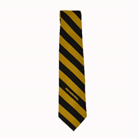 Jardine Woven Poly Diagonal Stripe Tie