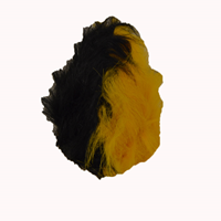 Black and Gold Wig