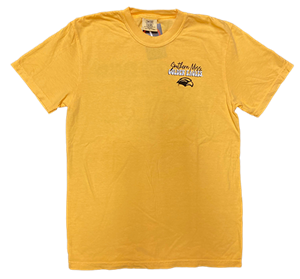 Image One Southern Miss Golden Eagles Stack Short Sleeve Shirt