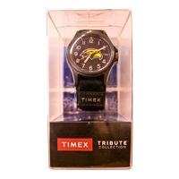 Timex Pride Watch